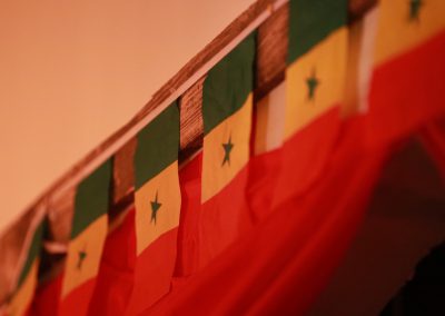 Senegalese flags